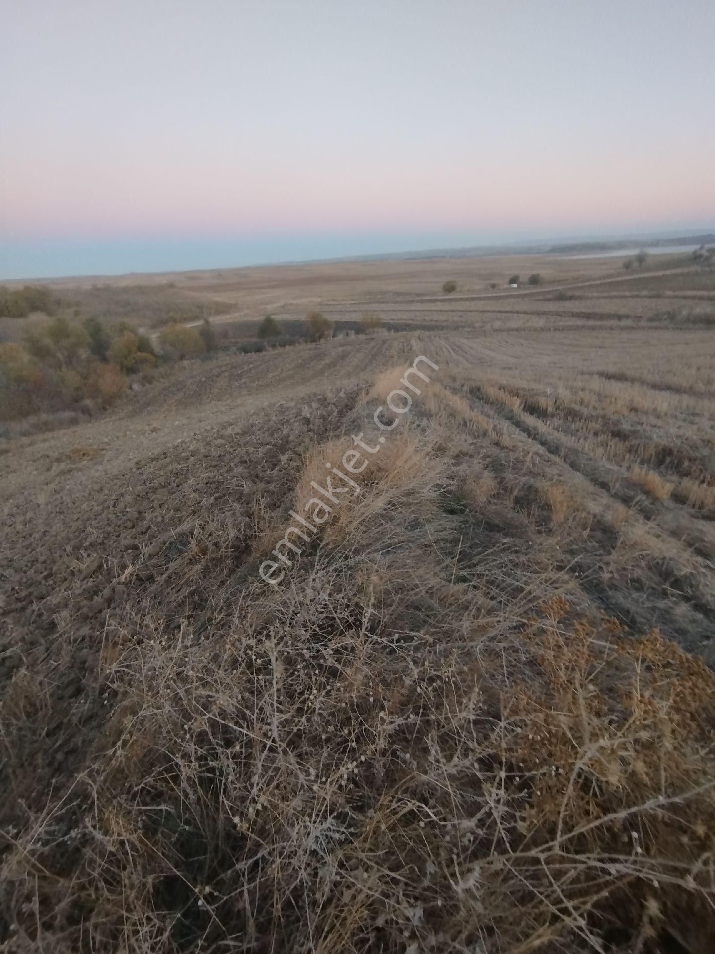 Malkara Kozyörük Satılık Tarla Tekirdağ Malkara Kozyörük 7600m Tek Tapu