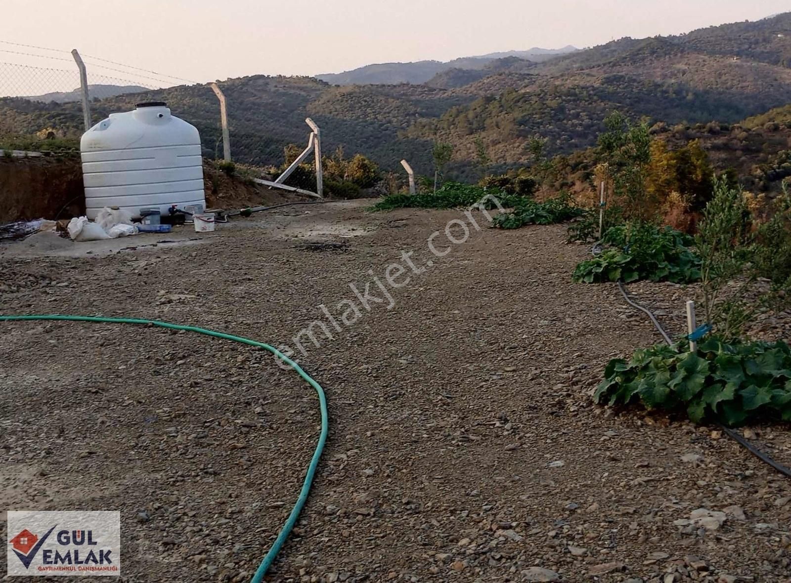 Seferihisar Ulamış Satılık Zeytinlik İçerisinde Konteyner Olan Etrafı Çevrili Müstakil Tapu Zeytinlik