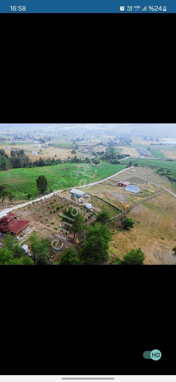 Karaisalı Topaktaş Satılık Tarla Asfalt Yol Üzeri Satılık Hobi Bahçesi Arsası