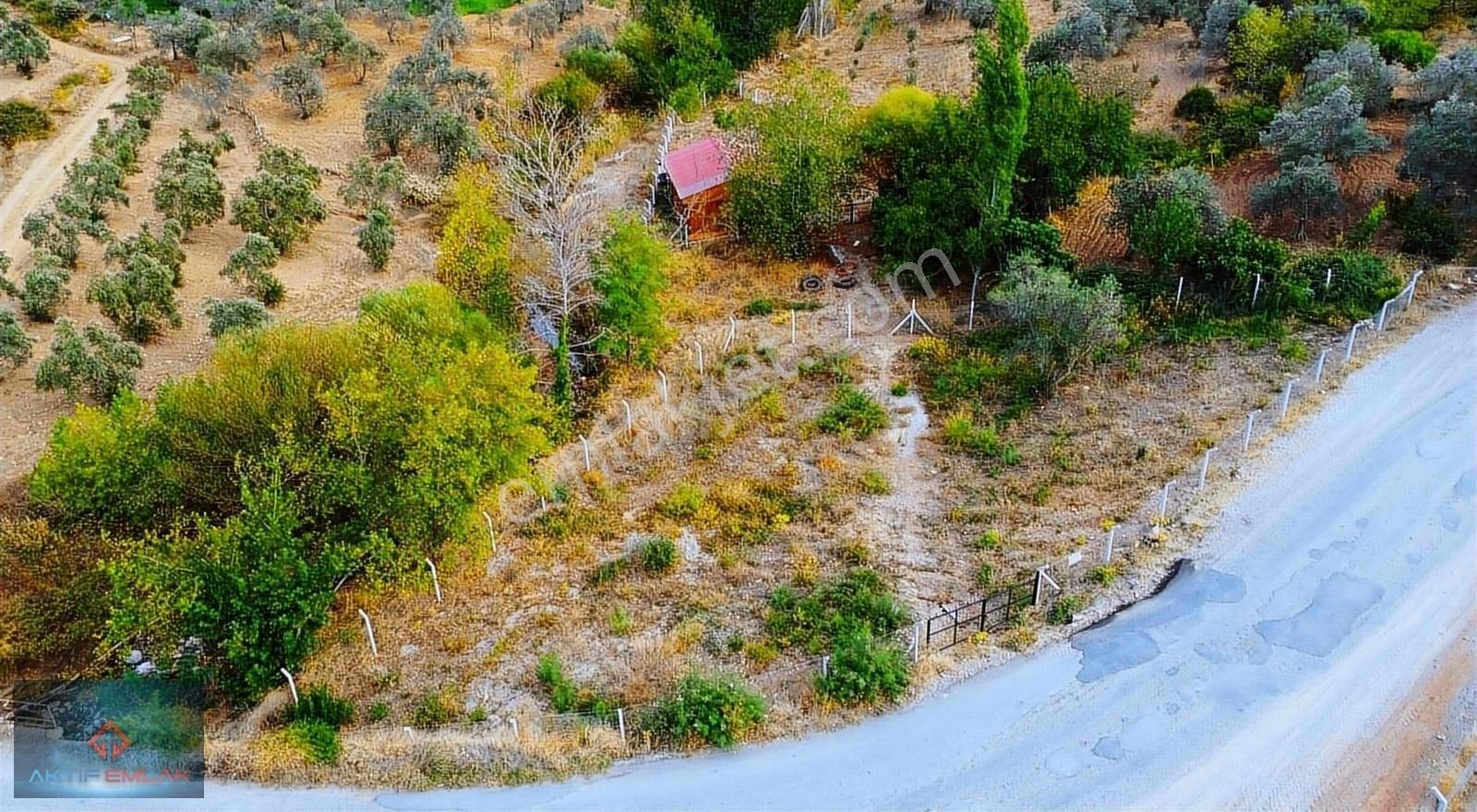 Burhaniye Kuyumcu Satılık Tarla ▂aktif'ten Kuyumcu Köyünde Asfalt Yol Üzeri 785 M2 Satılık Tarla