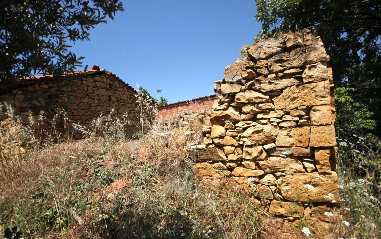 Burhaniye Ağacık Satılık Konut İmarlı 🔴🔴▄aktif'ten Ağacık Köy Yerleşkesi İçerisinde Önü Zeytinlik Olan 131 M2 Satılık Avlulu Dam ▄🔴🔴