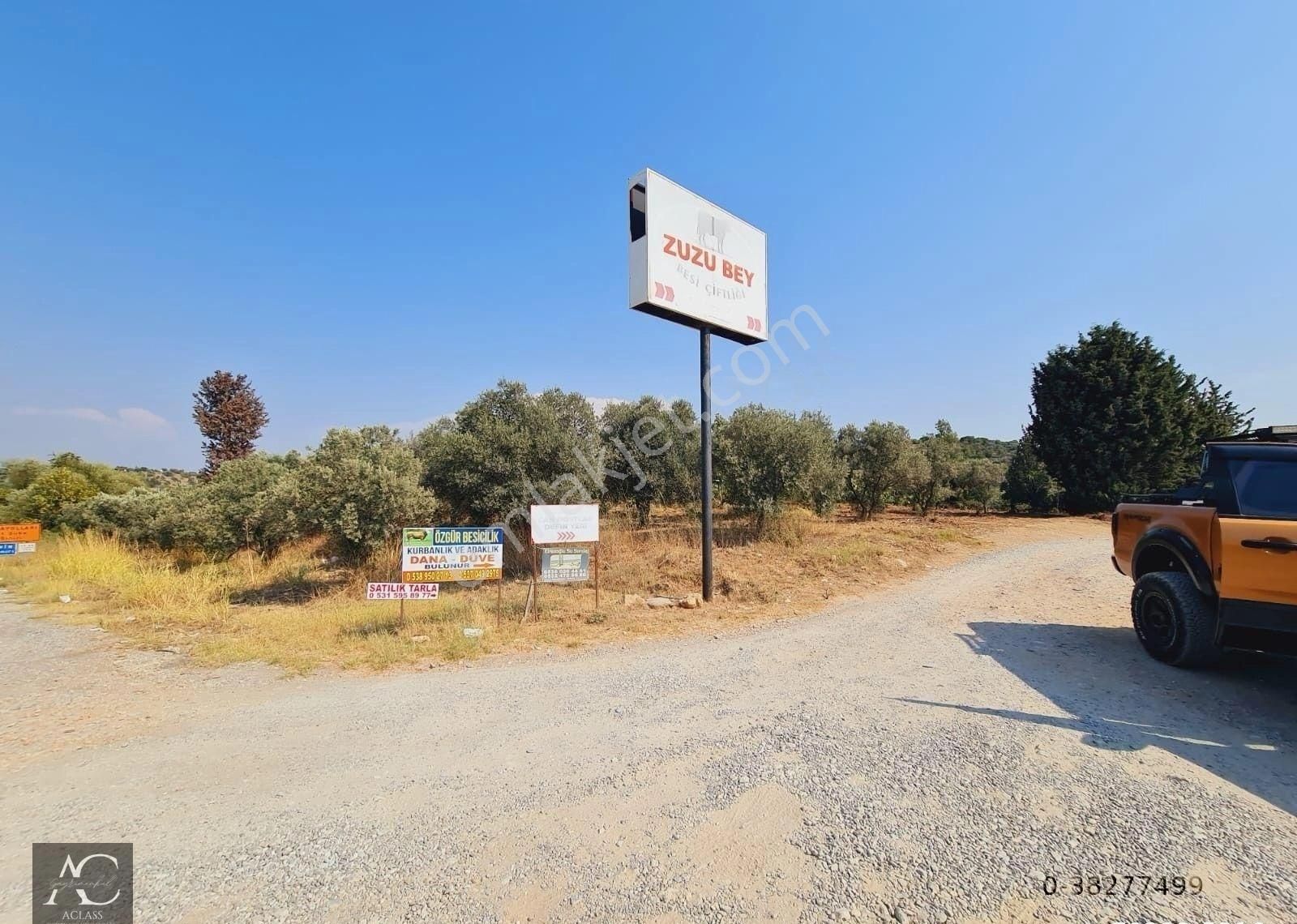 Kuşadası-yenıkoy-çınar Mevki-ana Yola 500 M -yatırımlık 1.226 M2 Fırsat Bahçe (takasa Açık)tek Tapu - Görsel 23