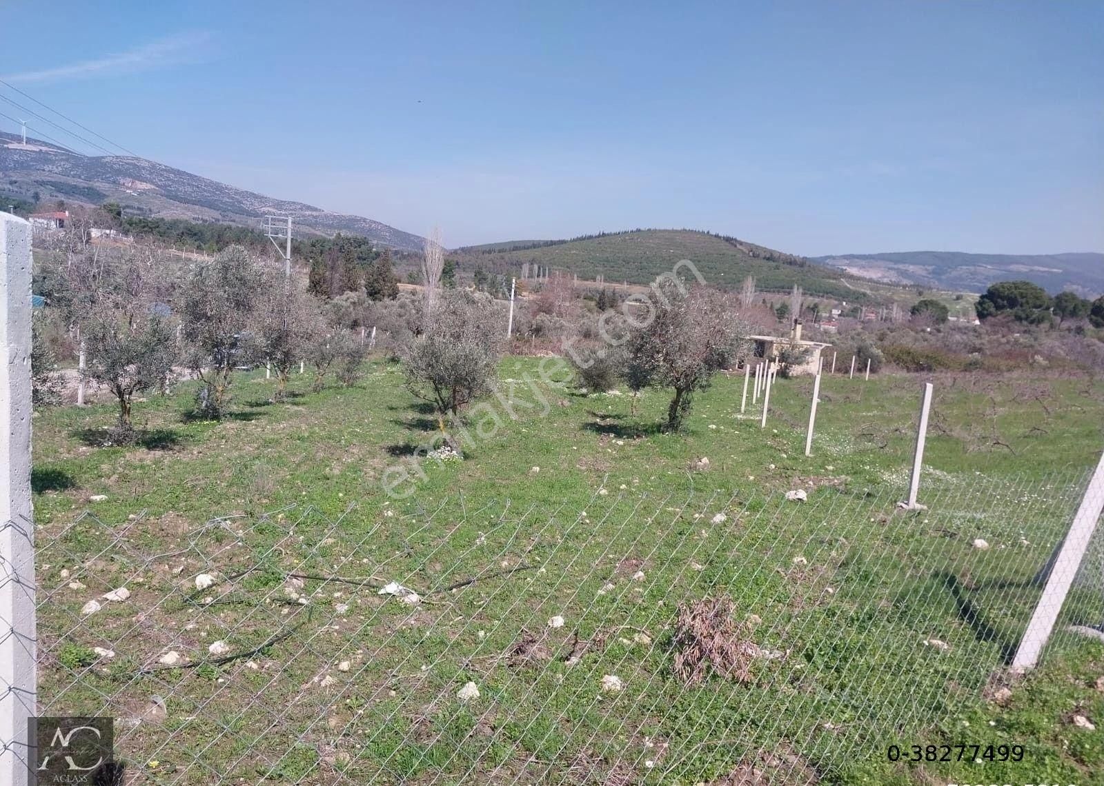 Kuşadası-yenıkoy-çınar Mevki-ana Yola 500 M -yatırımlık 1.226 M2 Fırsat Bahçe (takasa Açık)tek Tapu - Görsel 9