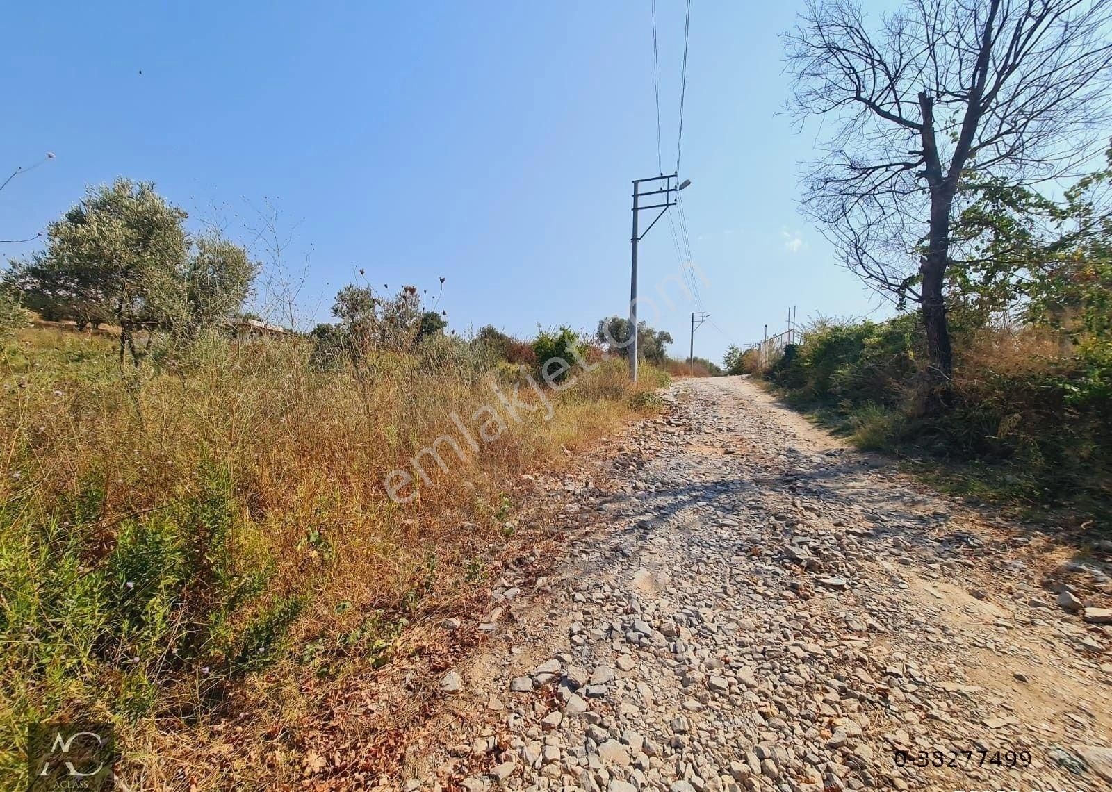 Kuşadası-yenıkoy-çınar Mevki-ana Yola 500 M -yatırımlık 1.226 M2 Fırsat Bahçe (takasa Açık)tek Tapu - Görsel 2