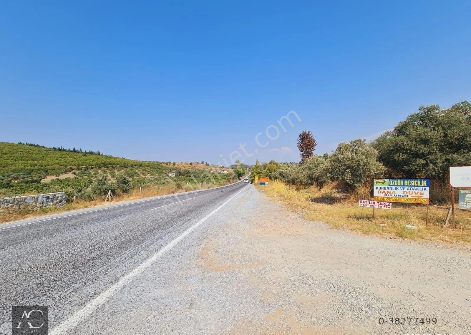 Kuşadası-yenıkoy-çınar Mevki-ana Yola 500 M -yatırımlık 1.226 M2 Fırsat Bahçe (takasa Açık)tek Tapu - Görsel 7