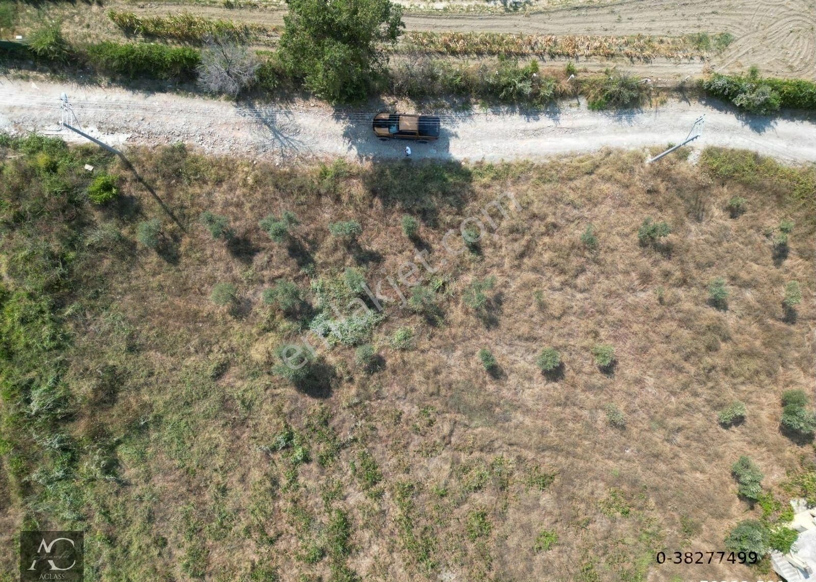 Kuşadası-yenıkoy-çınar Mevki-ana Yola 500 M -yatırımlık 1.226 M2 Fırsat Bahçe (takasa Açık)tek Tapu - Görsel 5