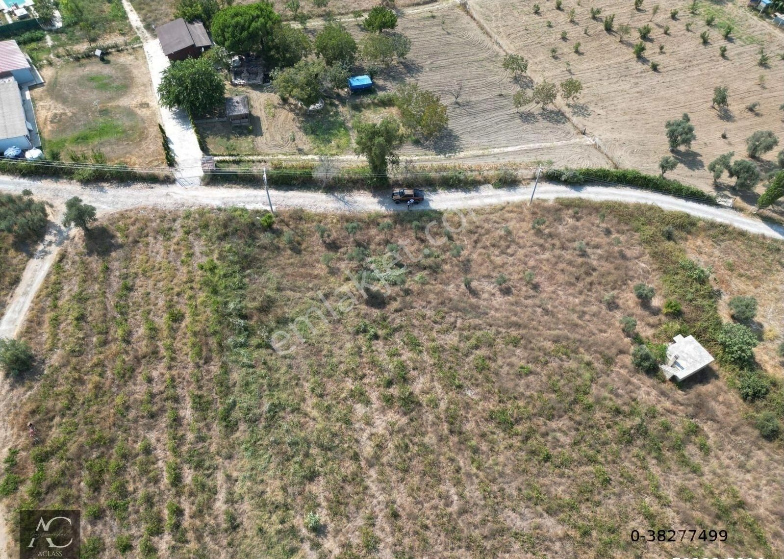 Kuşadası-yenıkoy-çınar Mevki-ana Yola 500 M -yatırımlık 1.226 M2 Fırsat Bahçe (takasa Açık)tek Tapu - Görsel 6