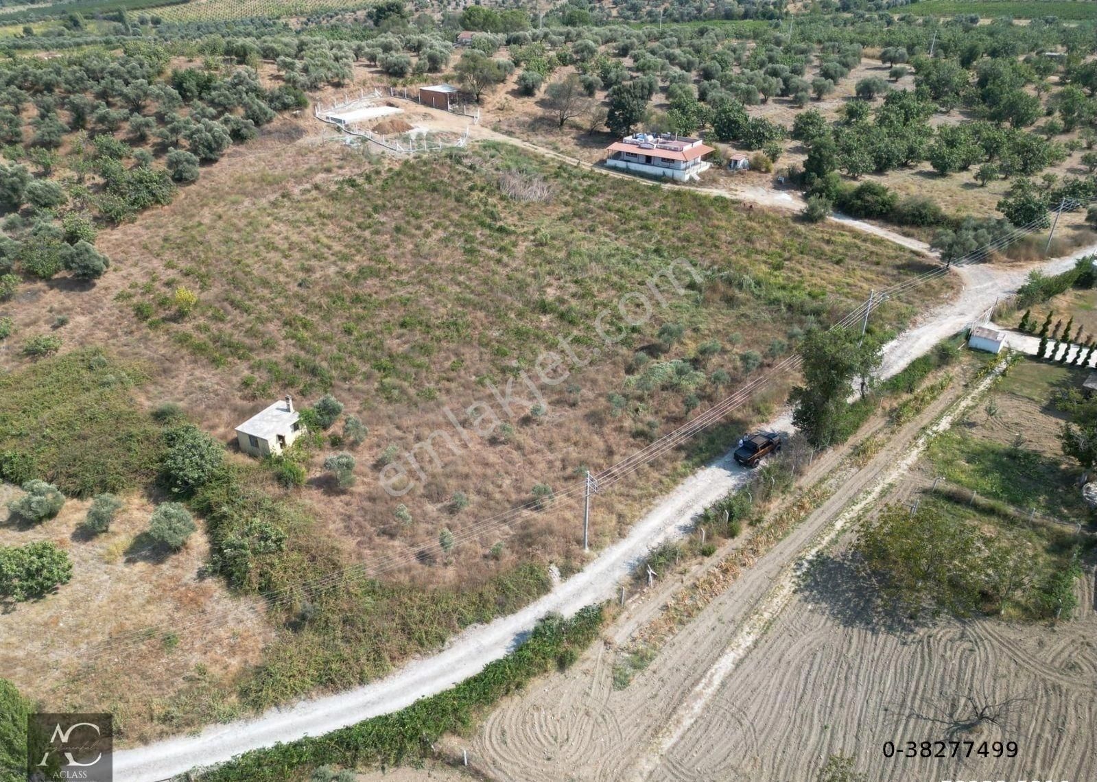 Kuşadası Yeniköy Satılık Bağ & Bahçe Kuşadası-yenıkoy-çınar Mevki-ana Yola 500 M -yatırımlık 1.226 M2 Fırsat Bahçe (takasa Açık)tek Tapu