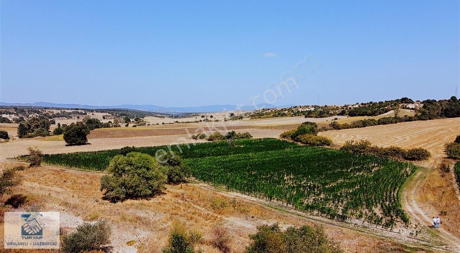 Pınarhisar Kaynarca Bld. (Işıklar) Satılık Tarla Turyap'tan Pınarhisar Kaynarca'da Satılık 13268 M2 Tarla