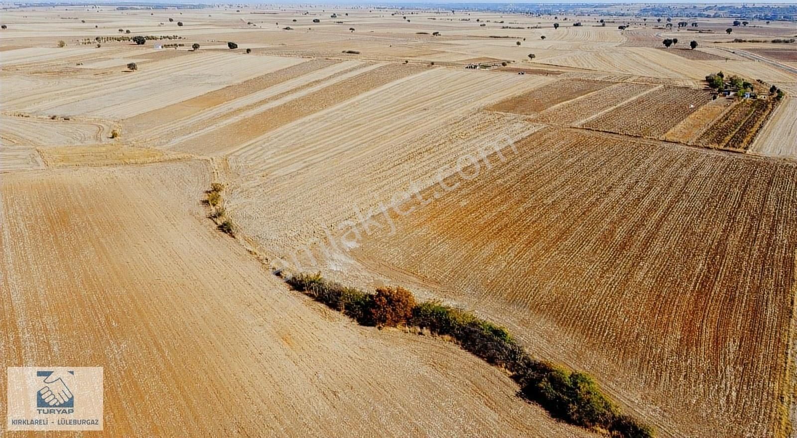 Lüleburgaz Eskitaşlı Köyü Satılık Tarla Turyap'tan Eskitaşlı Bağ Evleri Yanında İmar Dibi 3908 M2 Tarla