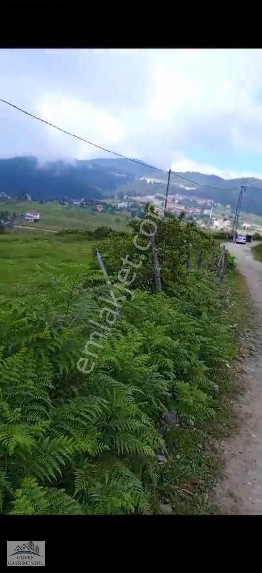 Kabadüz Turnalık Satılık Tarla Güven'den Çambaşı Yolu Turnalıkta Yol Kenarında 2.5 Dönüm Arsa