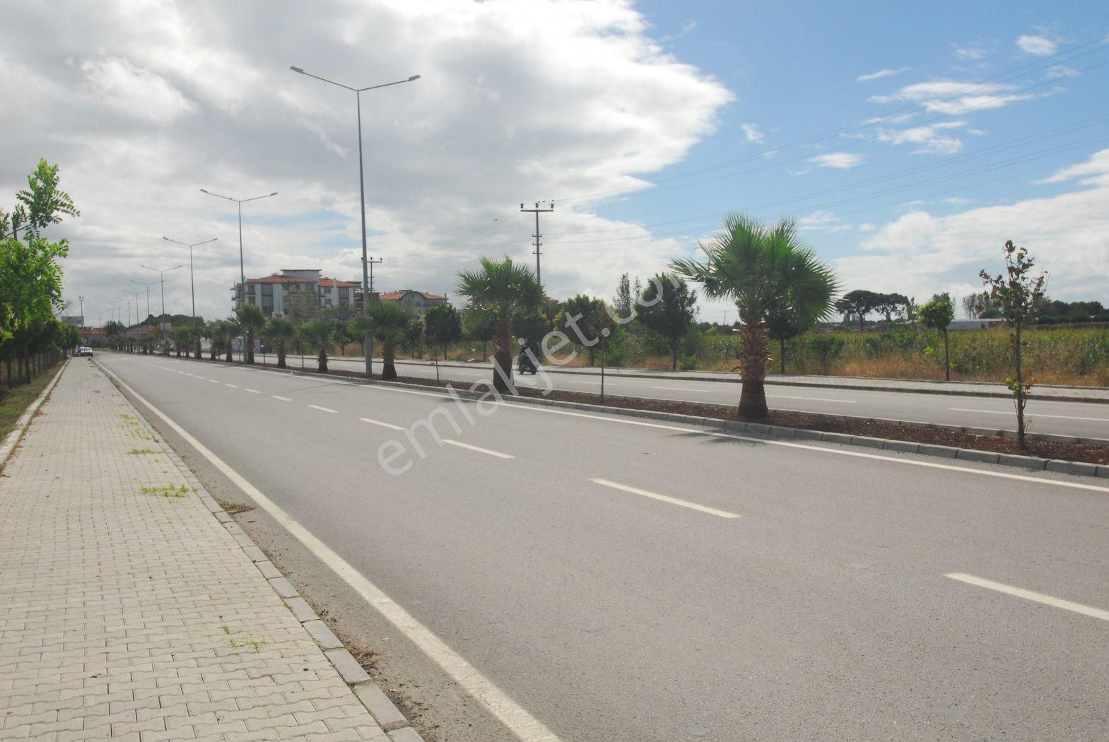 Ayvalık Altınova Satılık Muhtelif Arsa Balıkesir Ayvalık Altınova Da Satılık 37,200 Metre Kare Tarla