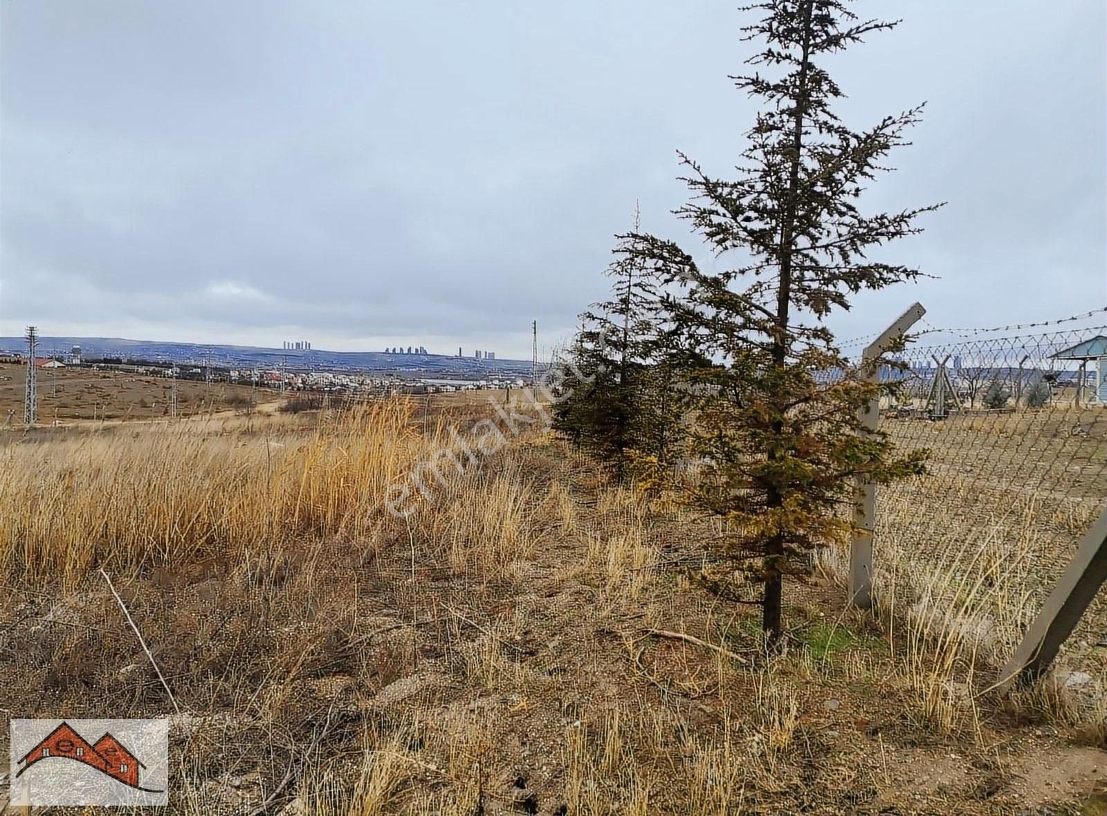 Satılık Arsa Haymana Çayraz Mevki Ankara - Görsel 6