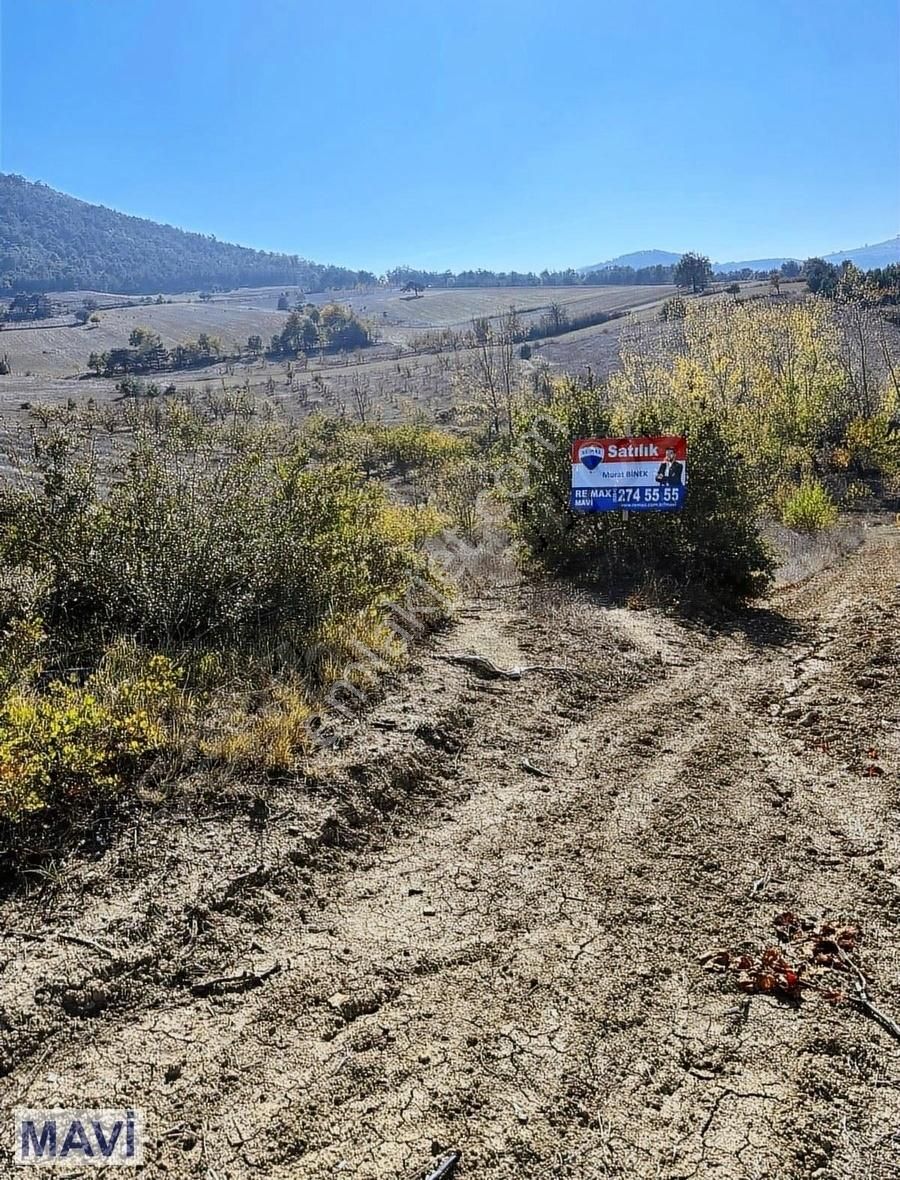 Geyve Çine Satılık Tarla Re/max Mavi'den Sakarya Çine Mah. 1.834 M2 Yatırımlık Tarla