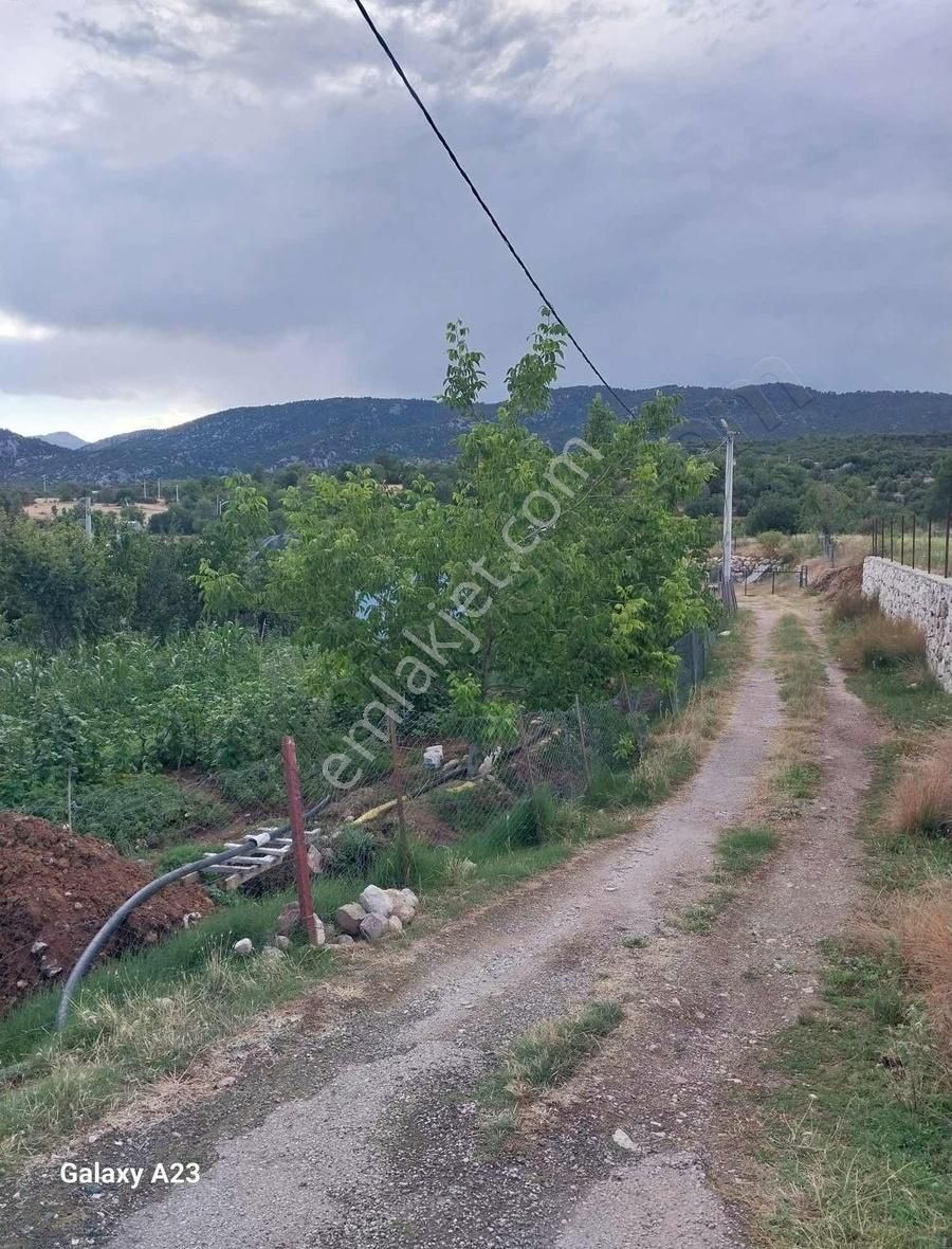 Seydikemer Yaylapatlangıç Satılık Tarla Yayla Patlangıçta Ev Ve Arsası