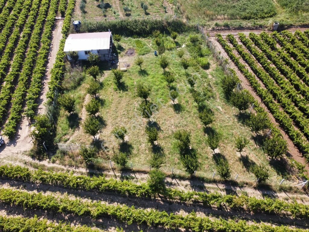 Menemen Haykıran Satılık Bağ & Bahçe Menemen Haykıranda 1675m2 Satılık Bağ