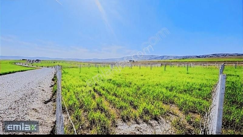 Çubuk İkipınar Satılık Bağ & Bahçe Emlax'tan Pursaklar'a 10dk Mesafede Hobi Bahçesi Takasa Açık