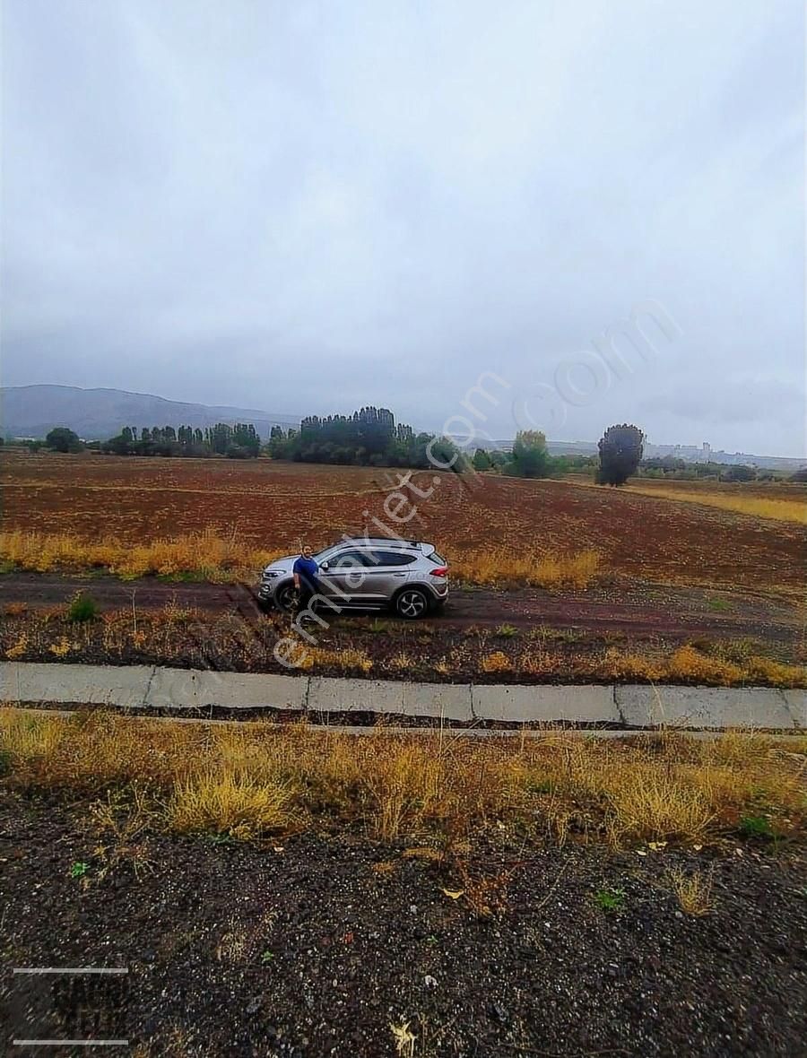 Sivas Merkez Serpincik Köyü Satılık Tarla Çağrı Çelik Gyd'dan Serpincik'de Tek Tapu Yol Üstü Tarla