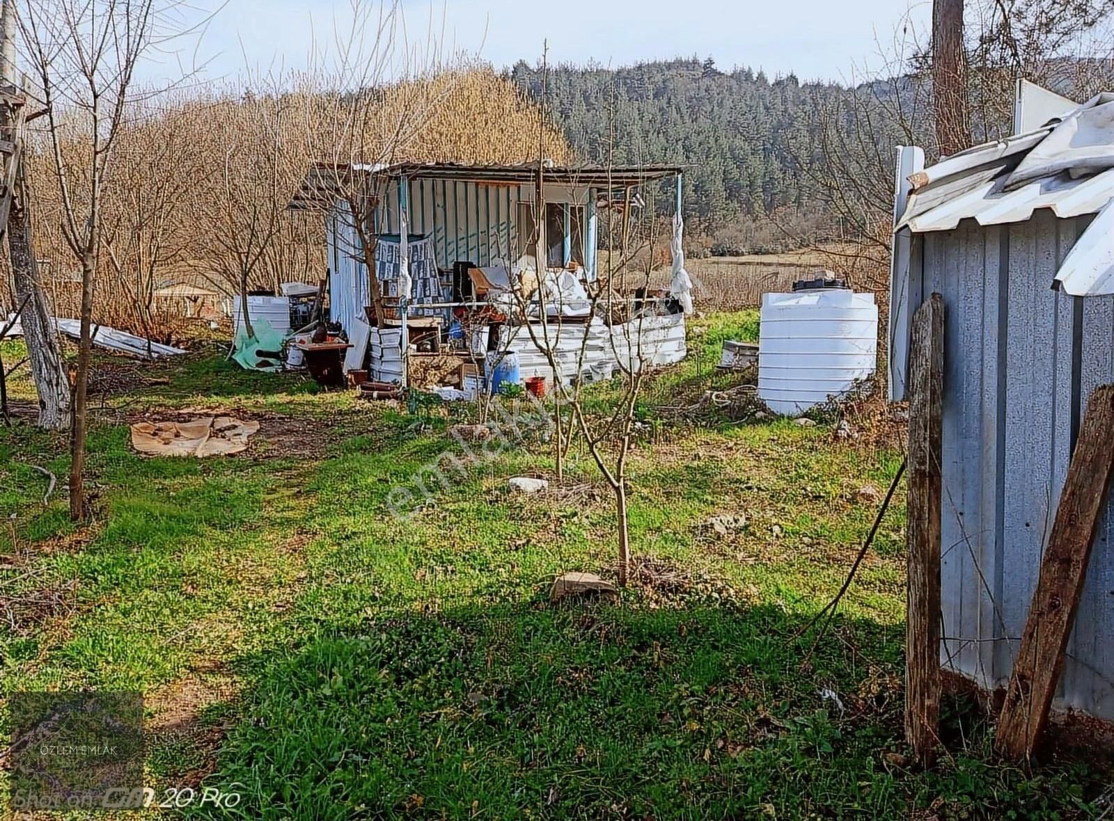 Kestel Gölcük Satılık Bağ & Bahçe Bursa Kestel Gölcük Satılık Tarla