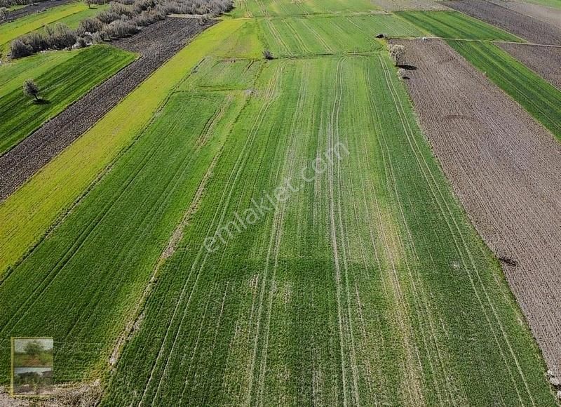 Gönen Asmalıdere Satılık Tarla Şahlan Emlaktan 17500m2 Asmalıdere De Satılık Arazi