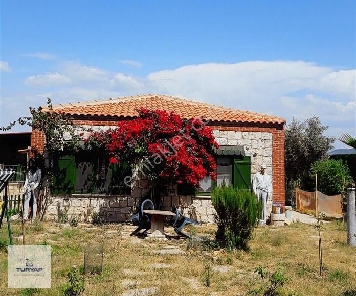 Didim Balat Satılık Müstakil Ev Didim Balat' Ta Bahçeli Müstakil Taş Ev