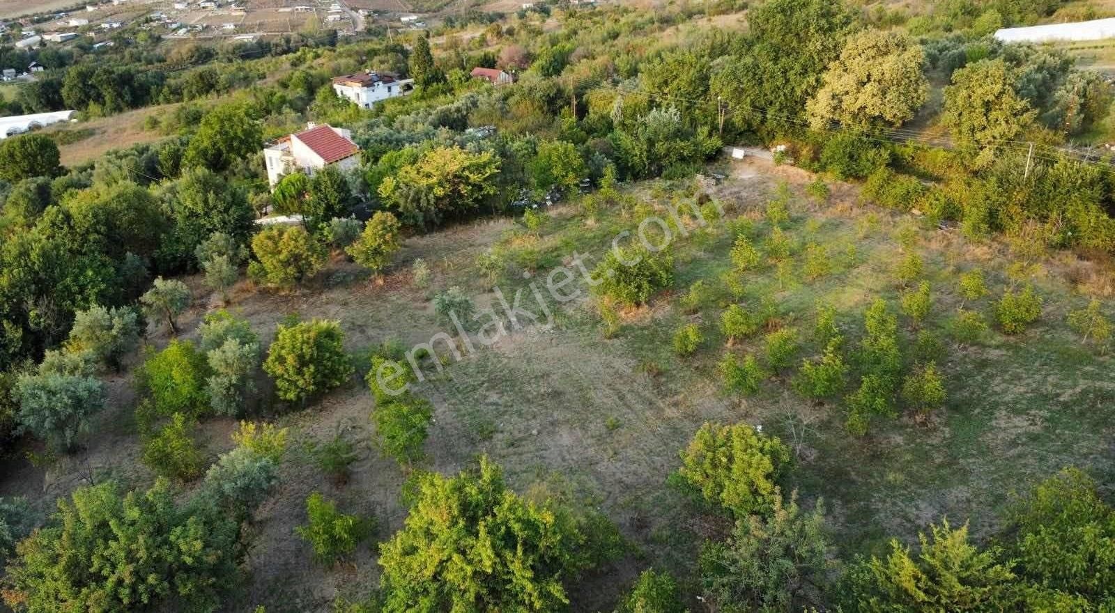 Çiftlikköy Gacık Köyü (Merkez) Satılık Bağ & Bahçe Gacık Köyün'de Deniz Manzaralı Satılık Bahçe