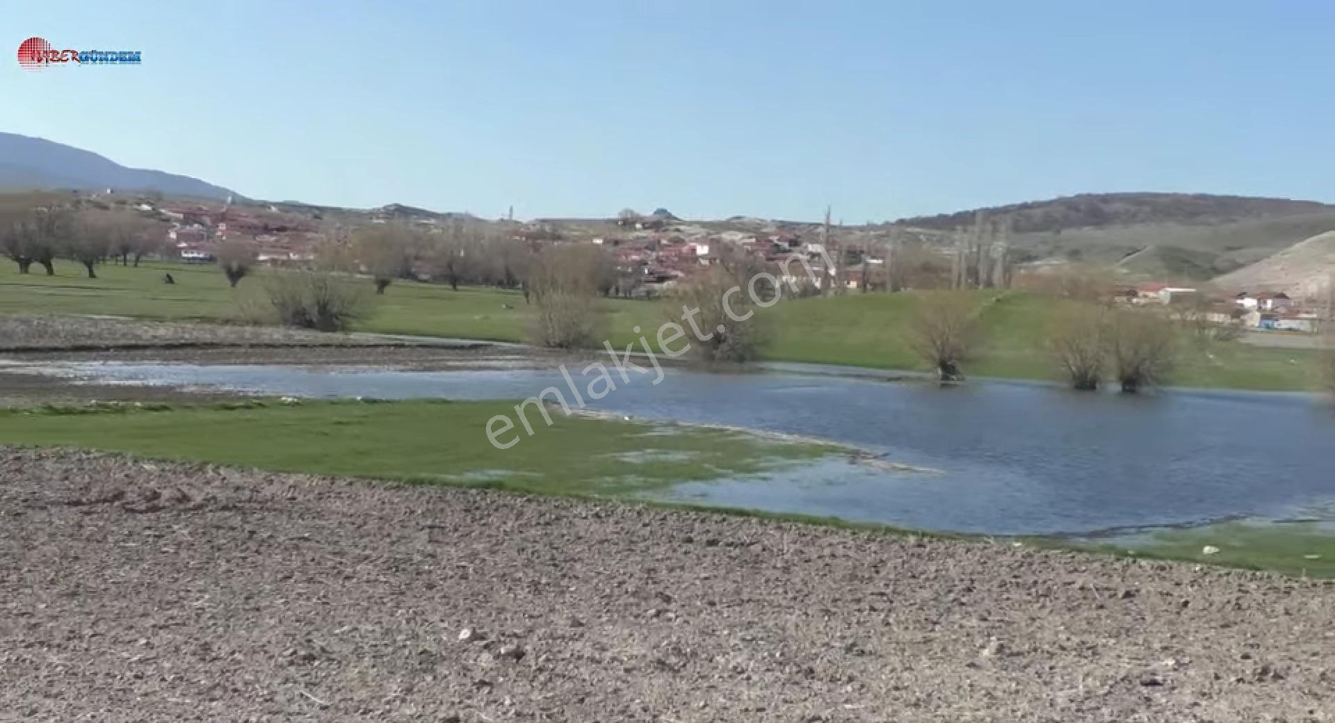 Eskişehir Seyitgazi Müstakil Ev Tapu Sahibi Perta Emlak Ümit Tahmaz - Görsel 13