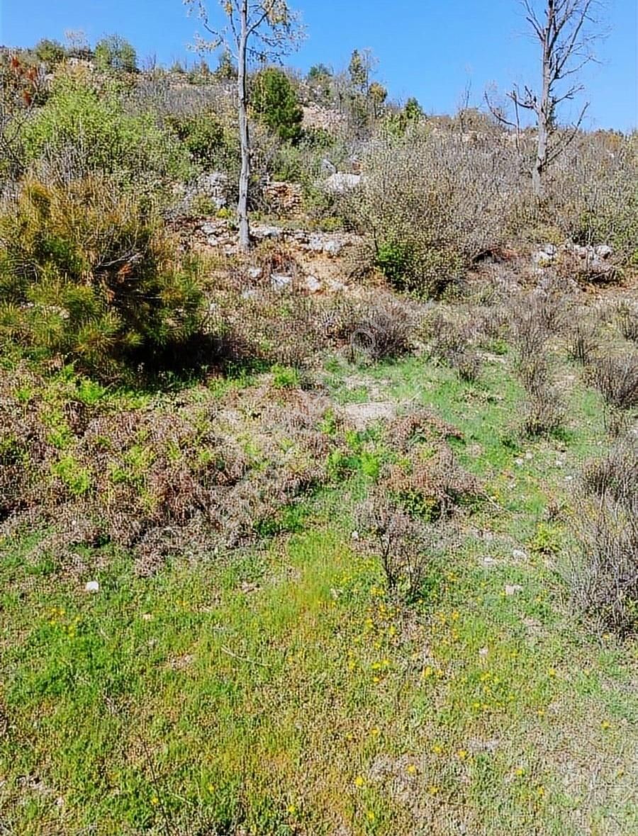 Alanya Bademağacı Satılık Tarla - Görsel 2