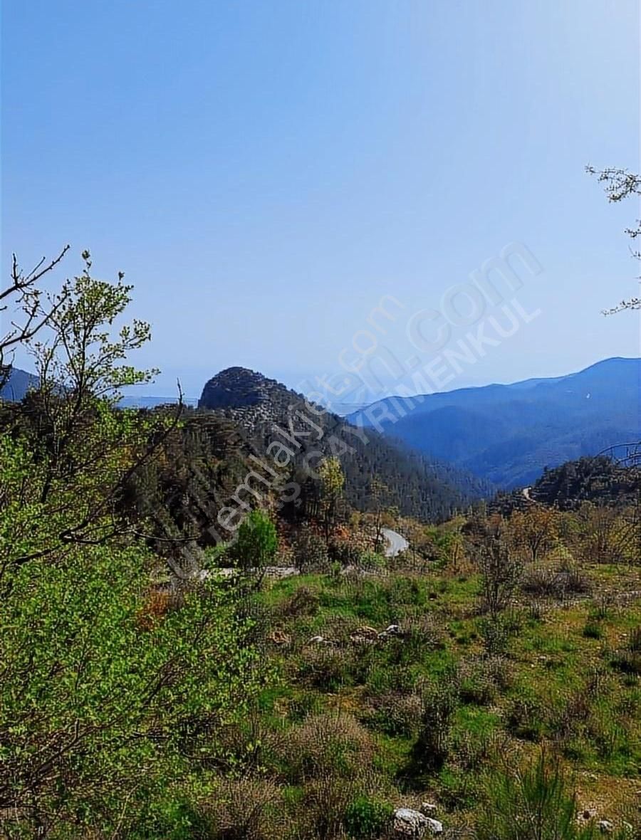 Alanya Bademağacı Satılık Tarla - Görsel 6