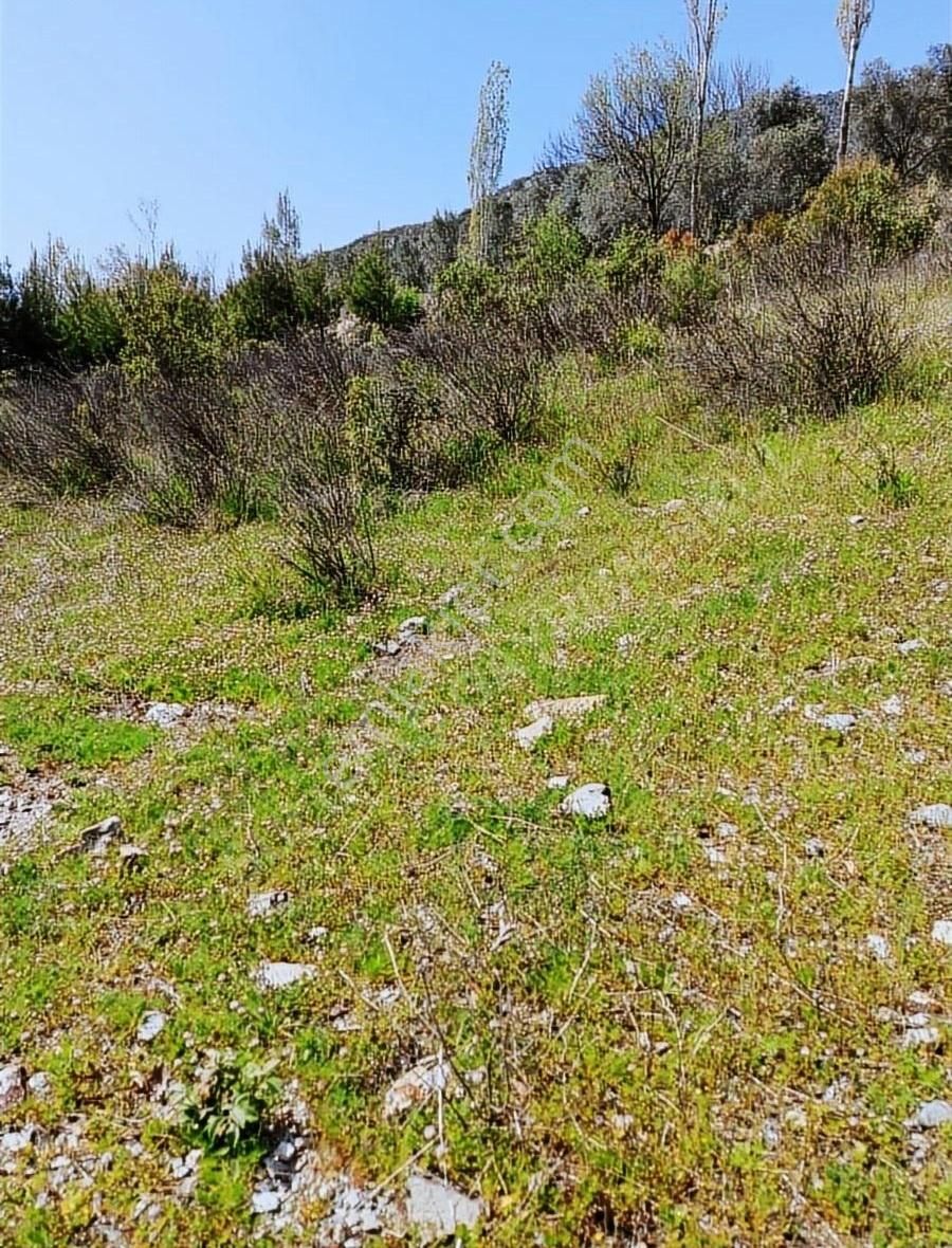 Alanya Bademağacı Satılık Tarla - Görsel 3