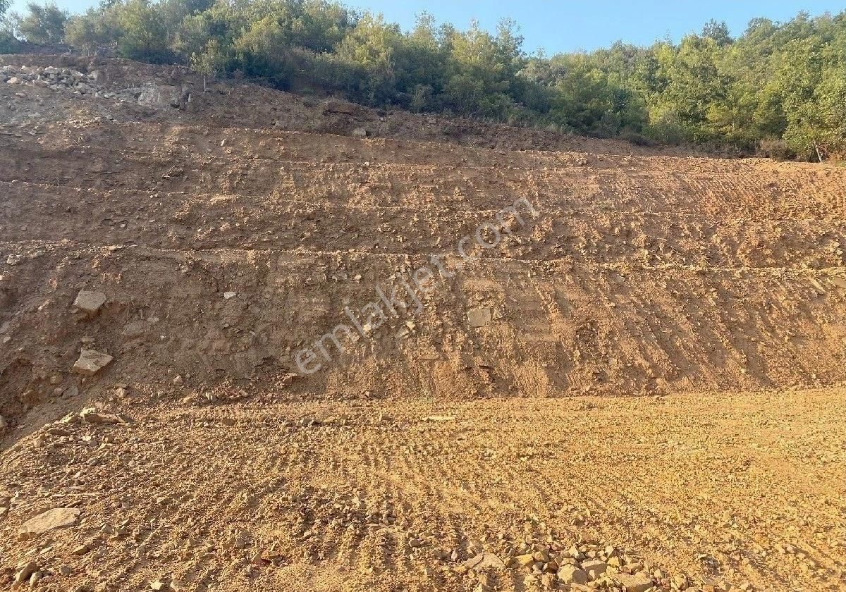 Alanya Çamlıca Satılık Bağ & Bahçe Çamlıca Mah