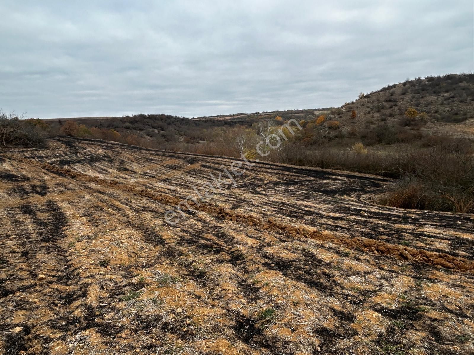 Lalapaşa Çatma Köyü Satılık Tarla Edirne Lalapaşa Çatma Köyünde Satılık Tarla