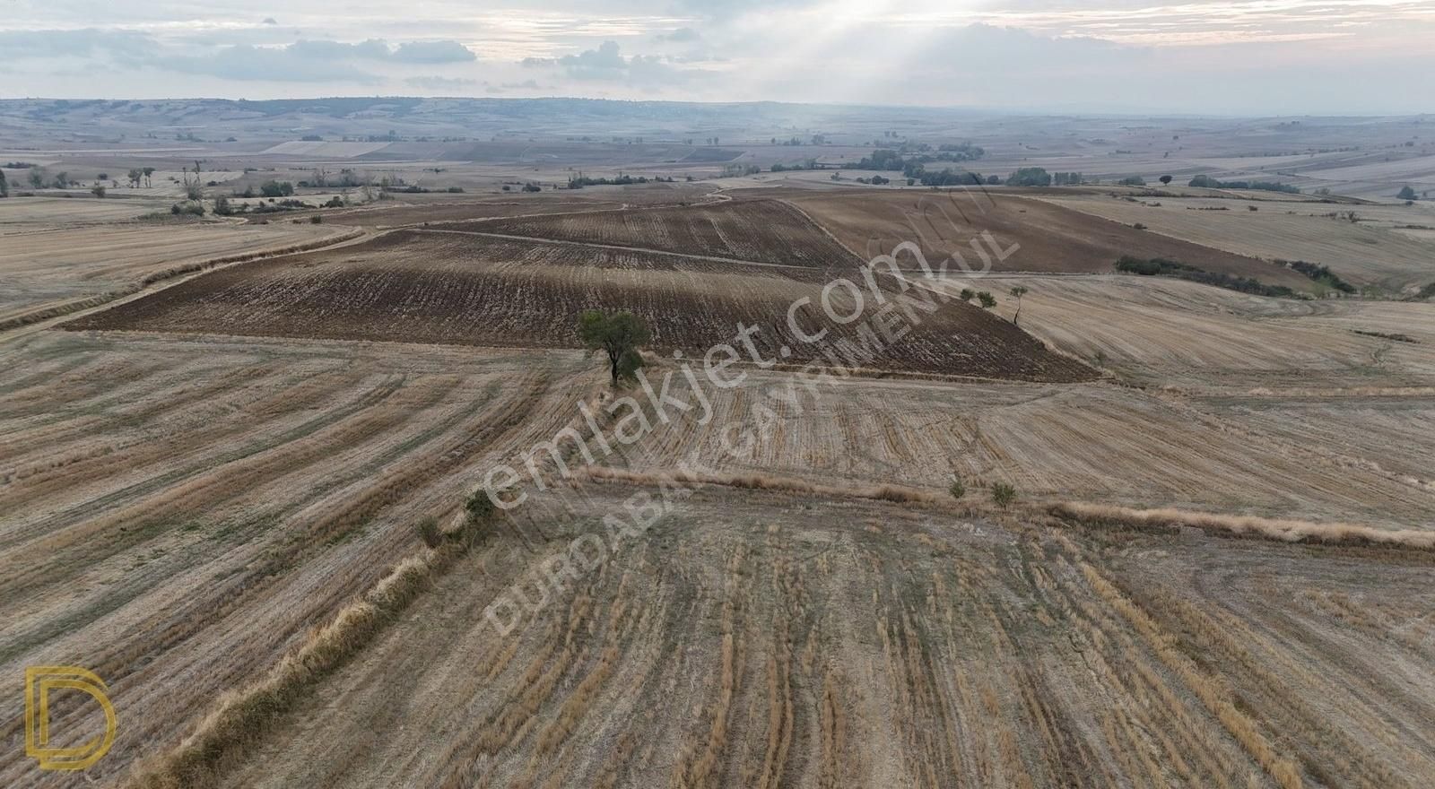 Malkara Davuteli Satılık Tarla Tekirdağ Malkara Davuteli Köyü Ekilebilir Verimli 18661 M2 Tarla