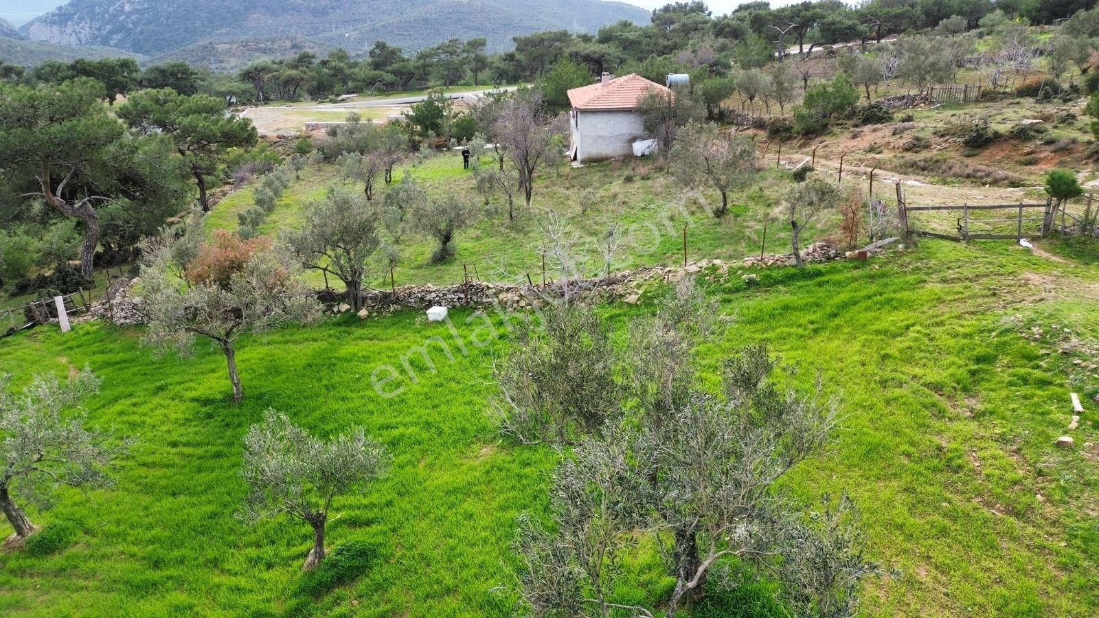 Havran Kocaseyit Satılık Tarla Havran Kocaseyit’te İçinde Evi Olan Tarla