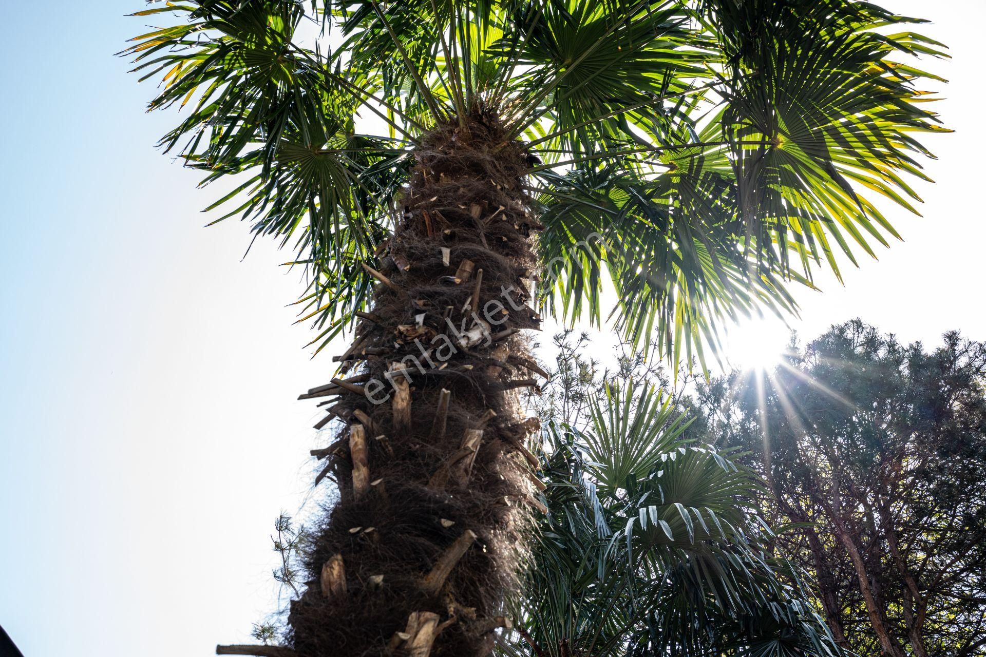 Tarabya Köşk Evler Sitesi'nde 5+2 Satılık Villa - Görsel 5