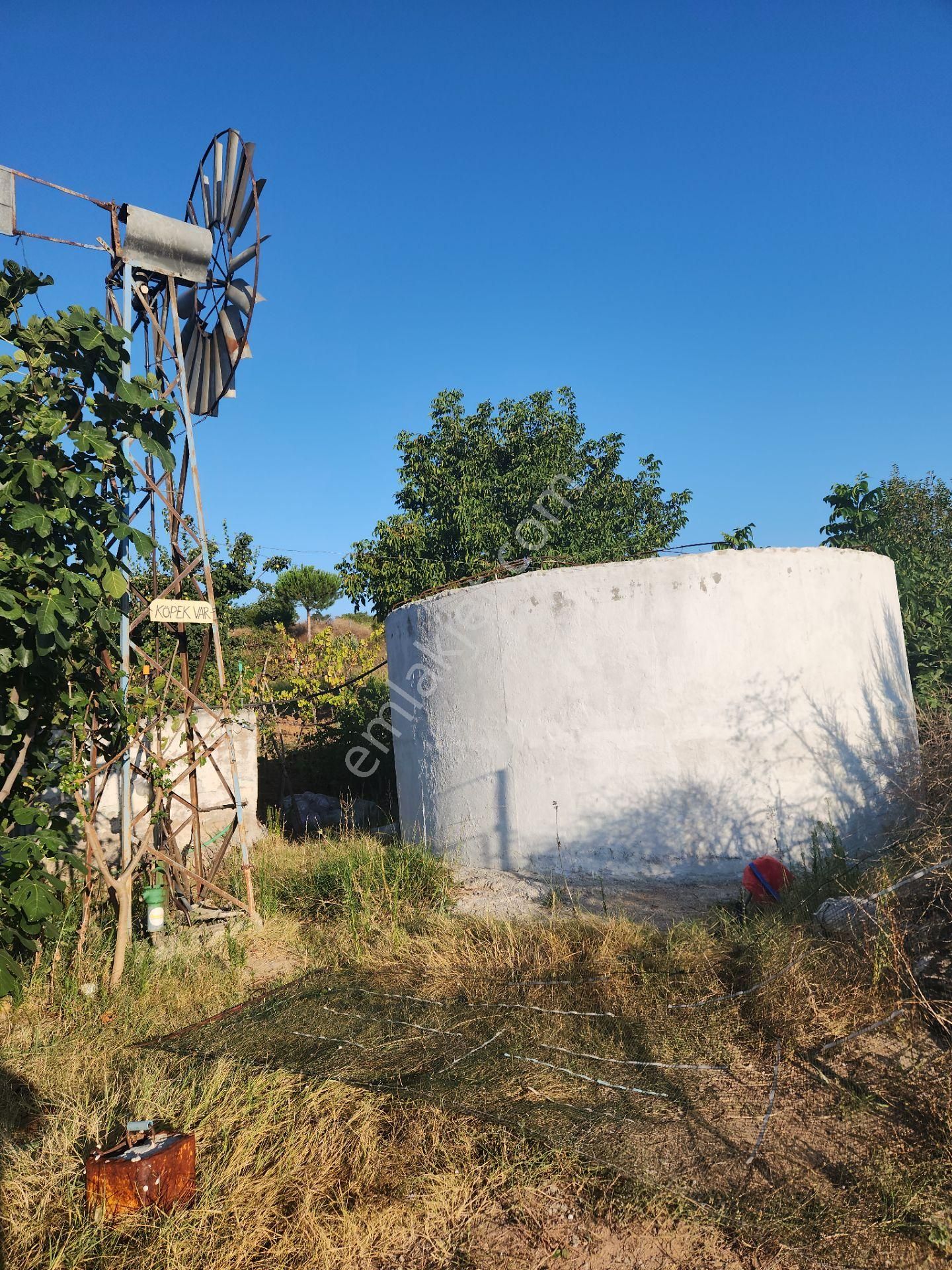 Sahibinden Satılık İncir Bahçesi - Görsel 9