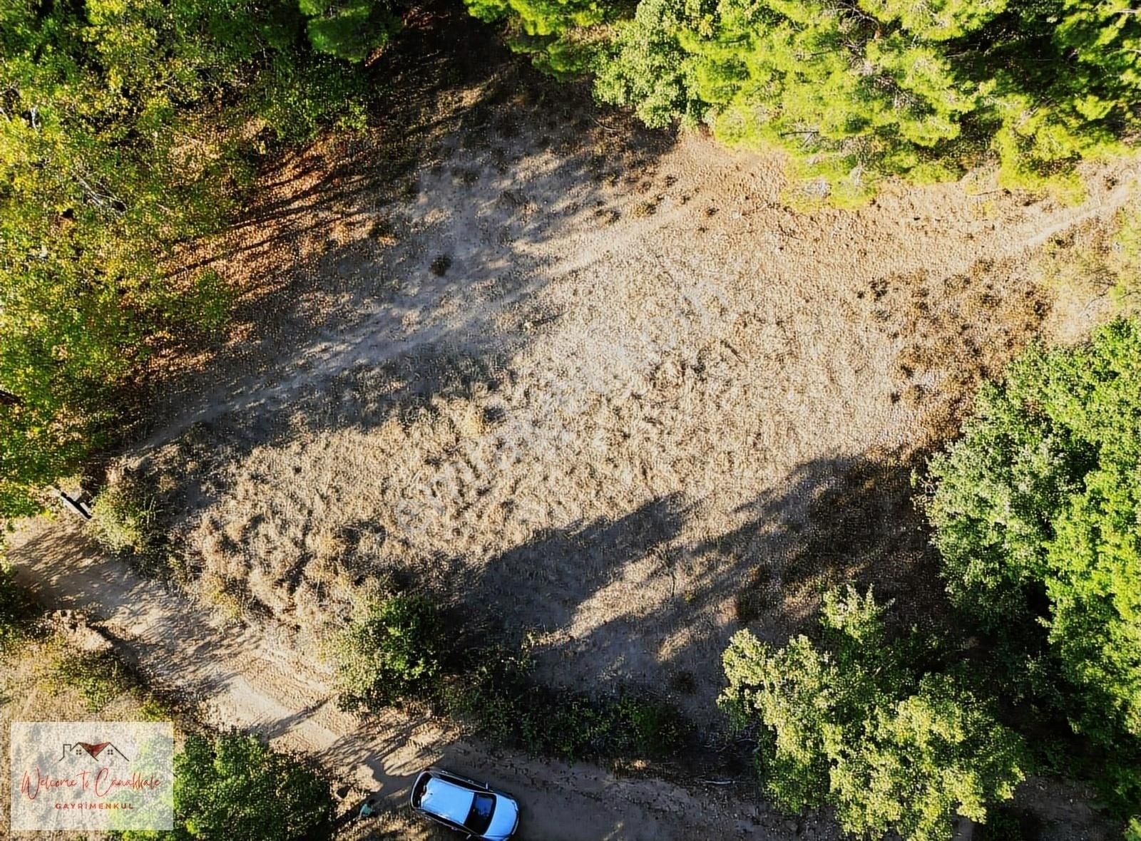 Bayramiç Tongurlu Köyü Satılık Bağ & Bahçe Çanakkale Bayramiç Tongurlu Köyü Satılık İmar Sınırında Arazi