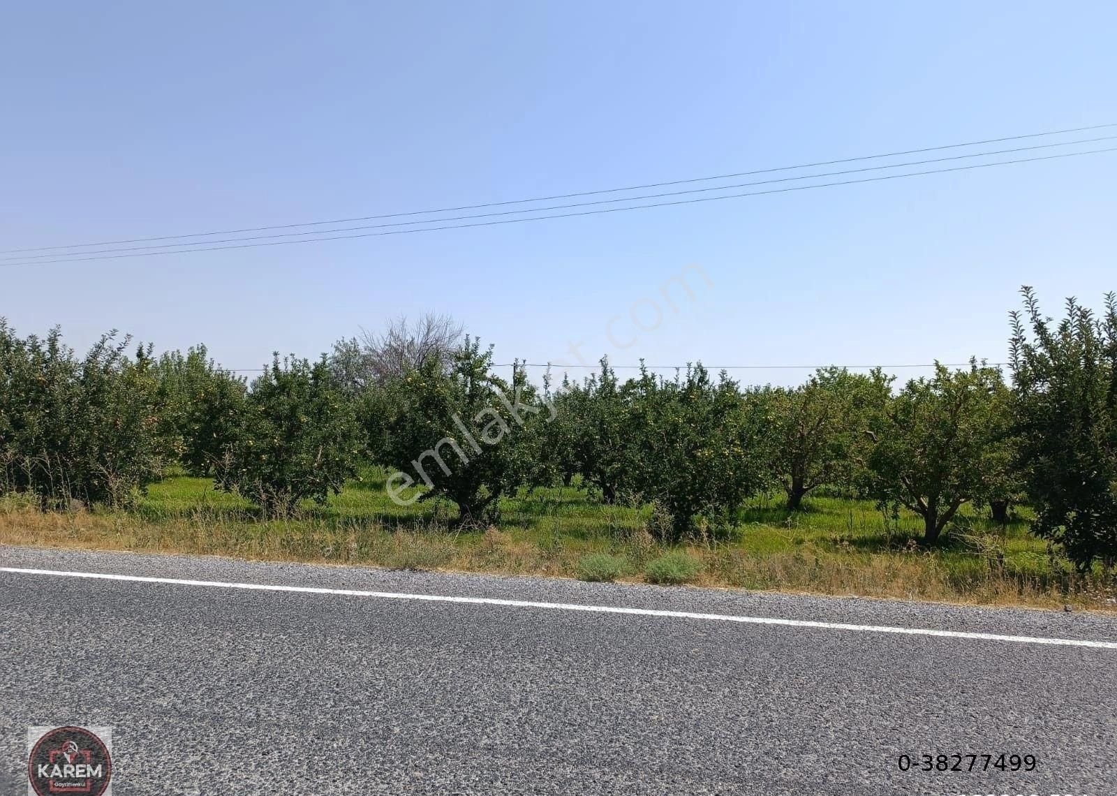 Karaman Merkez Kılbasan Köyü (Çarşı) Satılık Bağ & Bahçe Kılbasan Köyünde Anayol Üzeri Elma Bahçesi 10.000 M² Satılıktır