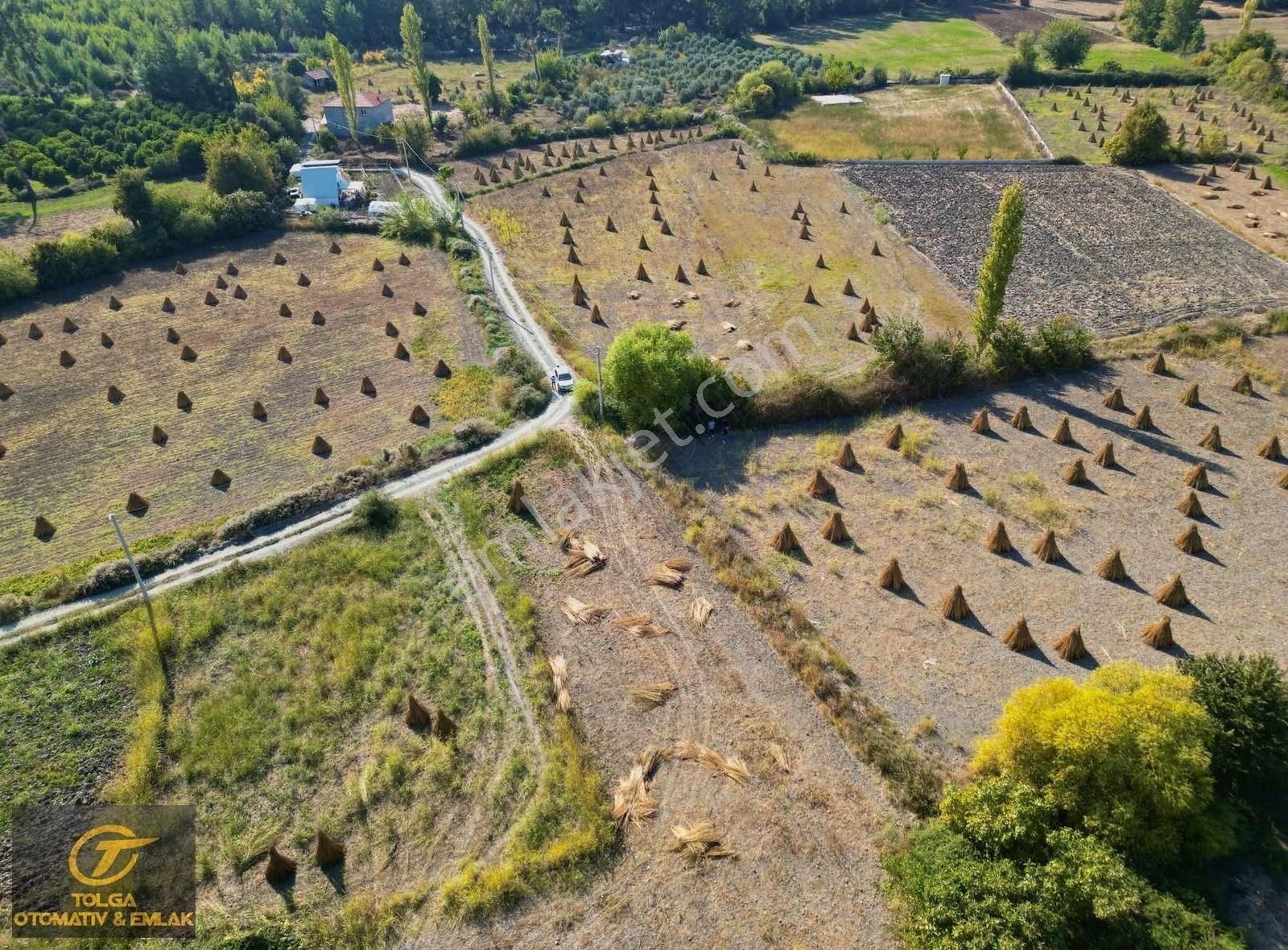 Köyceğiz Zeytinalanı Satılık Tarla Köyceğiz Zeytinalanın'da Satılık 5.100m2 Satılık Tarla