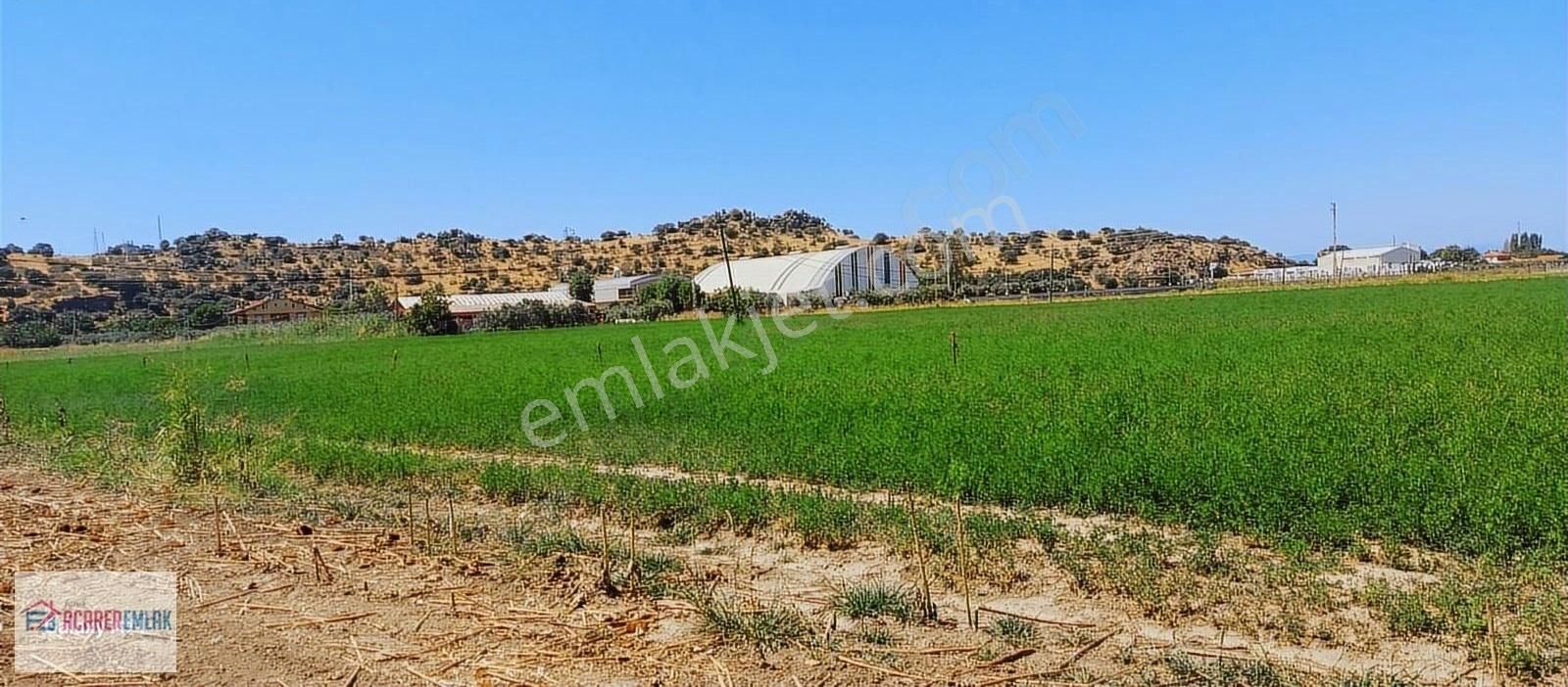 Dikili Cumhuriyet Satılık Tarla Dikili Merkeze Yakın İmar Sınırında 3 Adet Bitişik Satılık Tarla