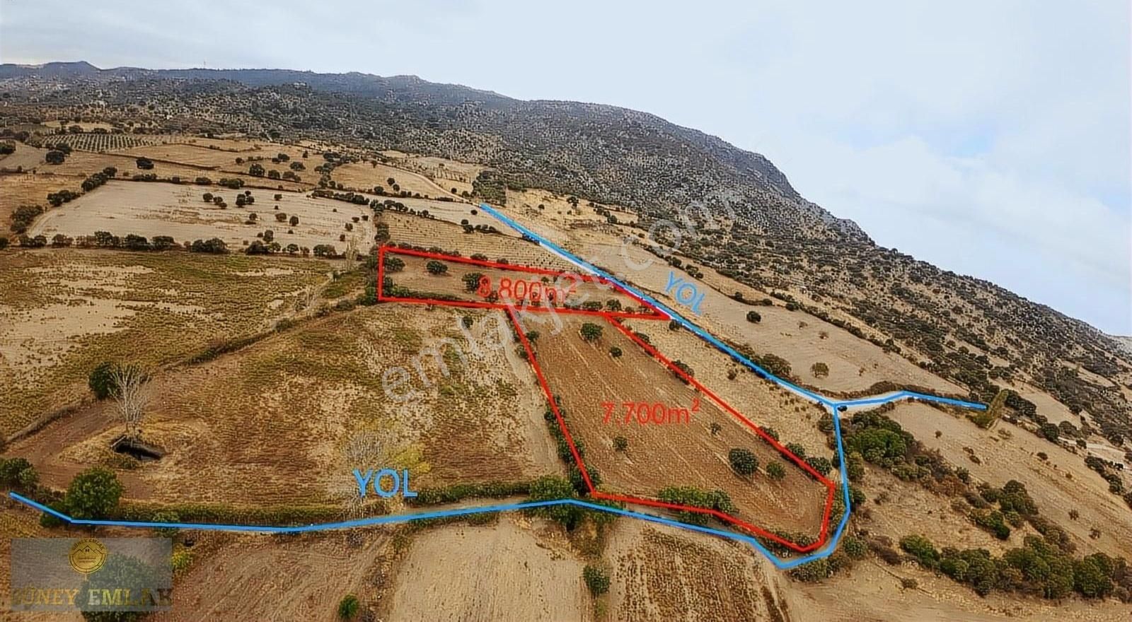 Ezine Yahyaçavuş Köyü Satılık Tarla Ezine Yahyaçavuş Köyünde Emsalsiz 16.500 M2 Arazi