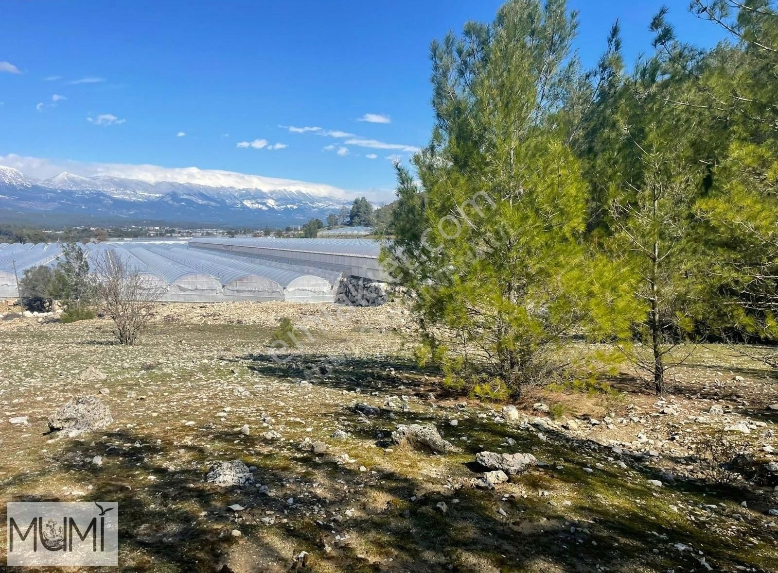 Kaş Ahatlı Satılık Tarla Mumi Gayrımenkulden Kaş Ahatlı'da Satılık Tarla