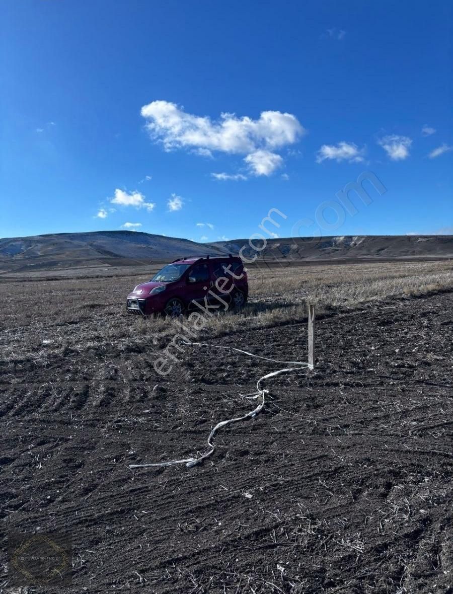 Odunpazarı Ağapınar Satılık Tarla Ağapınarda Kupon Arazi Müstakil Tapulu Tel Çevrili Kadastral Yol