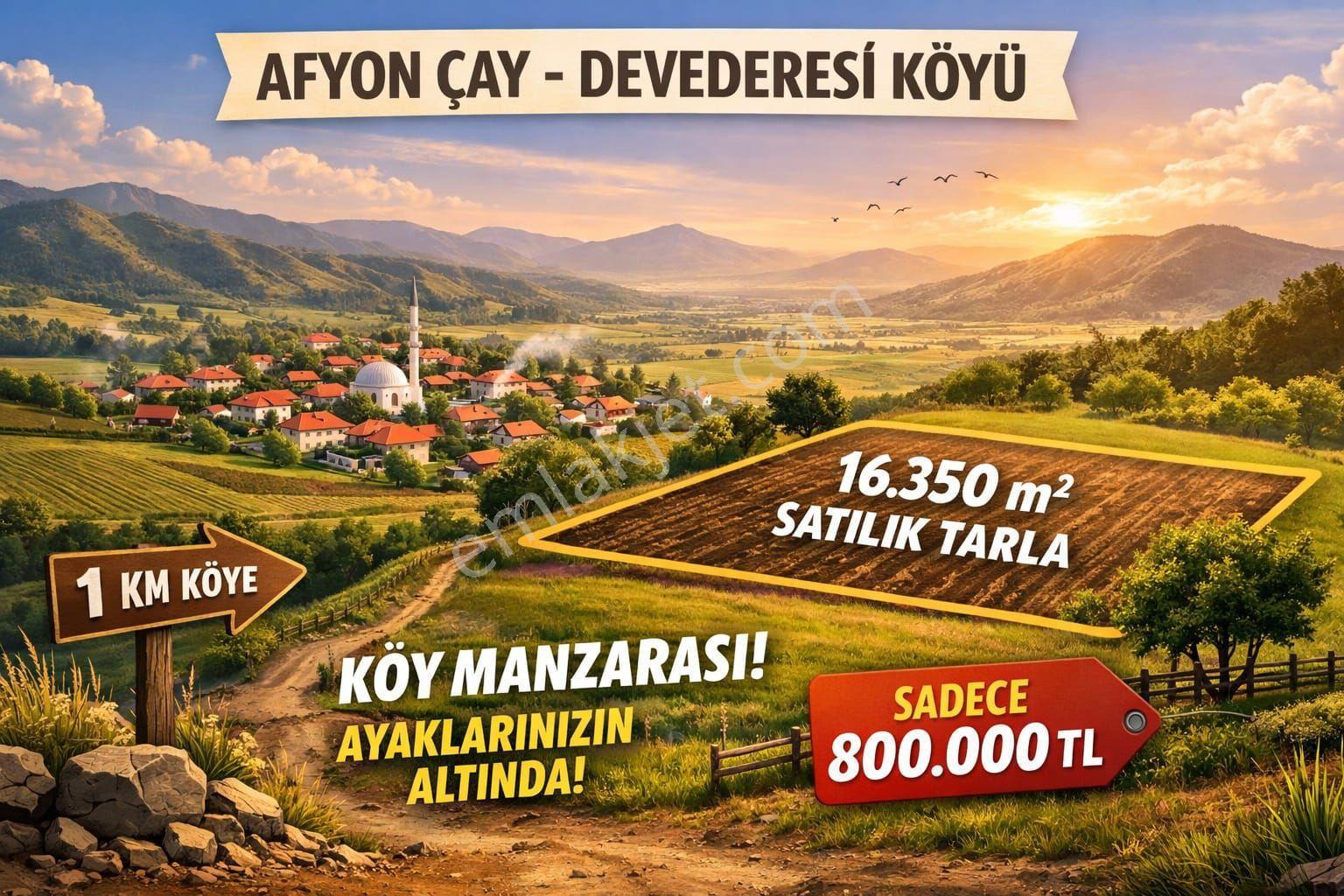 Savaş Emlak. Tan Satılık 16350 M. 2 Tarla Kaplıcaya Yakın