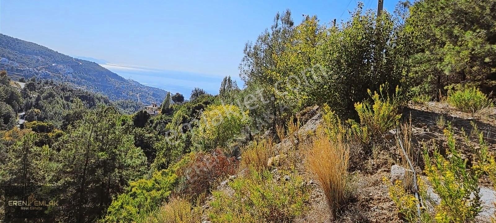 Alanya Tepe Satılık Turizm İmarlı Eren Emlak'tan Tepe Mah.acil Satılık 1.500 M² Deniz Manzaralı Ar