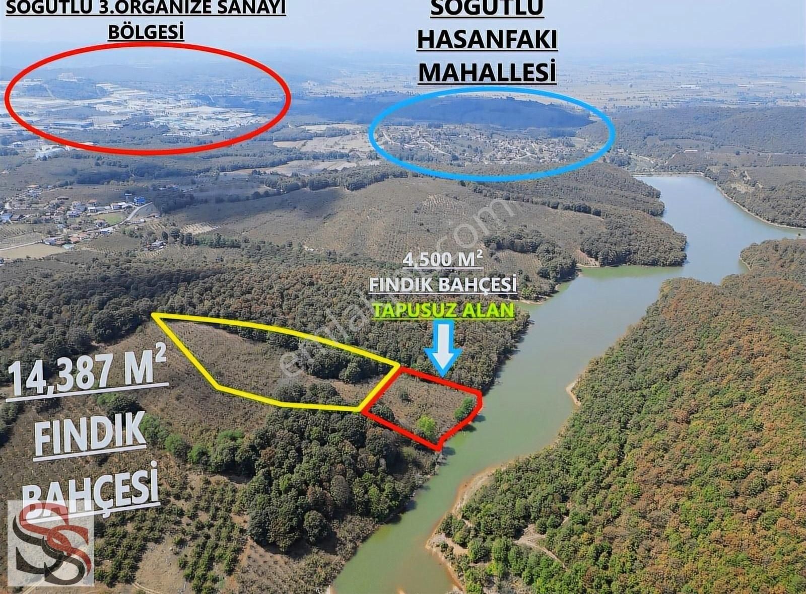 Söğütlü Yeniköy Satılık Tarla Söğütlü Yeniköy Mahallesinde 14,837 M² Fındık Bahçesi