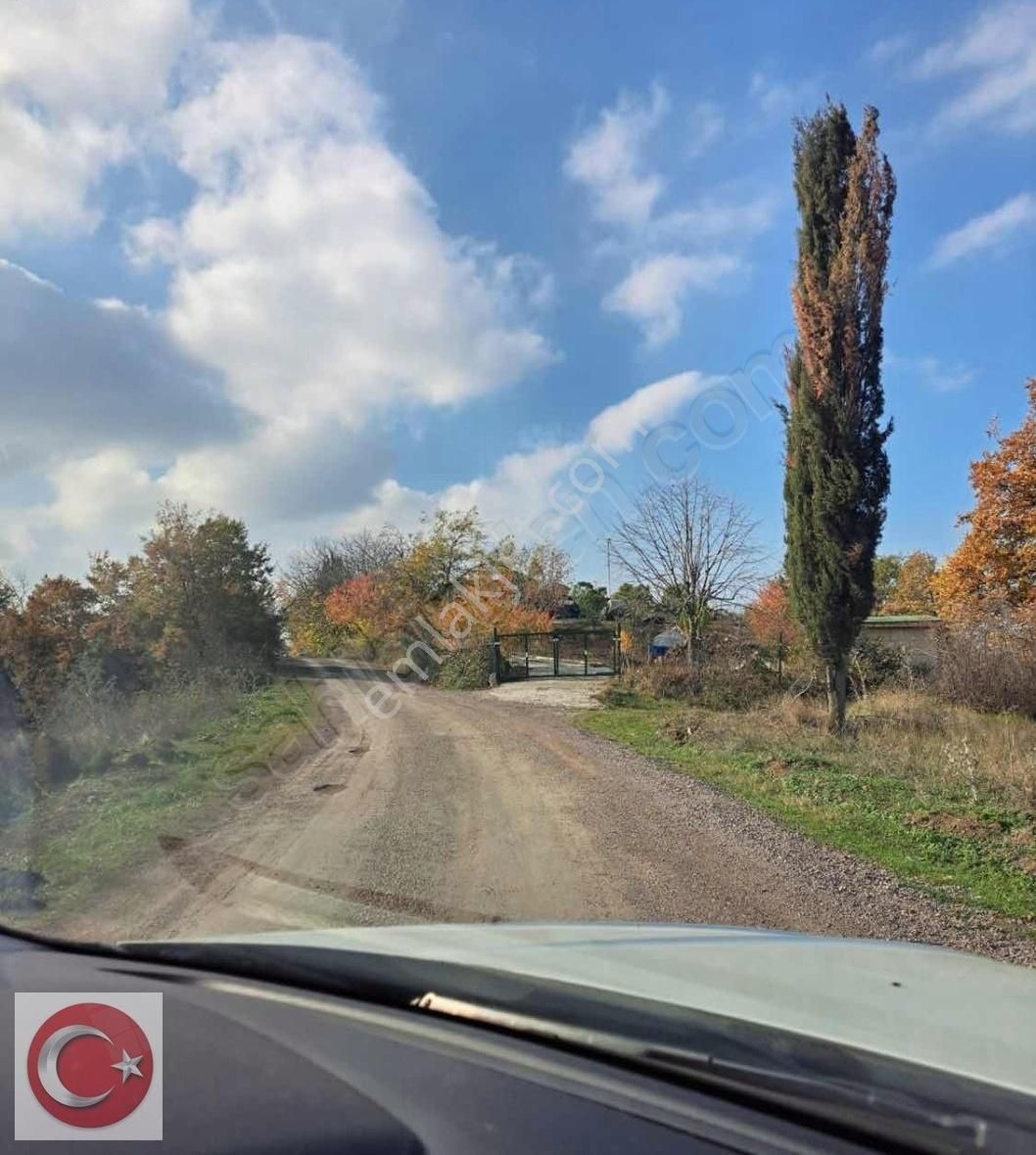 Çiftlikköy Çukurköy Köyü (Yukarı) Satılık Tarla Yalova Çiftlikköy Çukurköy Karşısında Satılık 2 Tarla