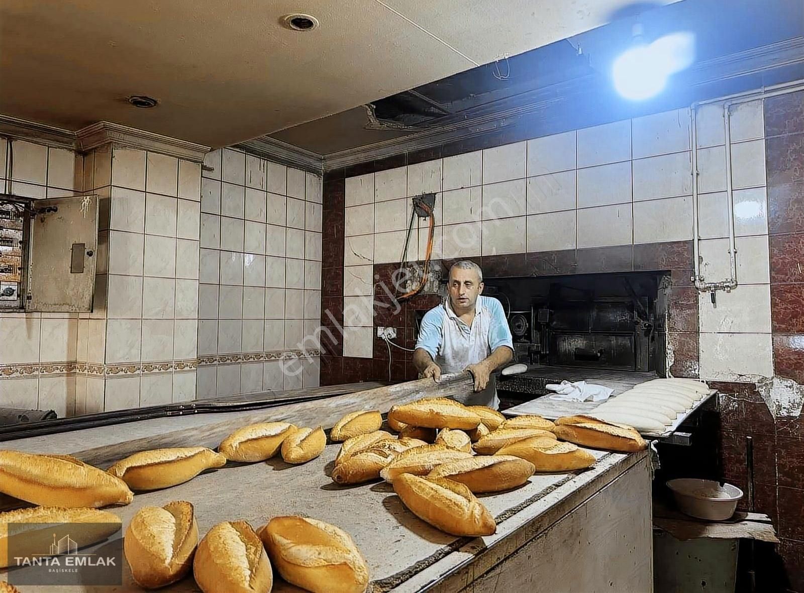 Başiskele Şehitekrem Satılık Bina Tanta Emlak Tan Bahçecik De Satılık Komple Bina