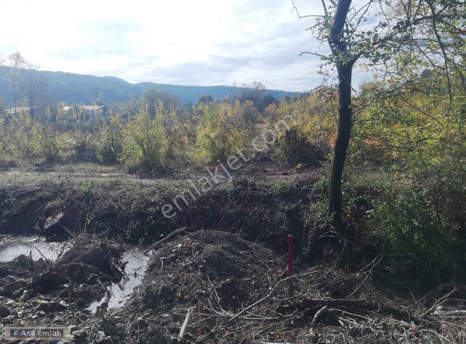 Asil Emlaktan Güzelyurtta Satılık 3 Dönüm Arsa - Görsel 8