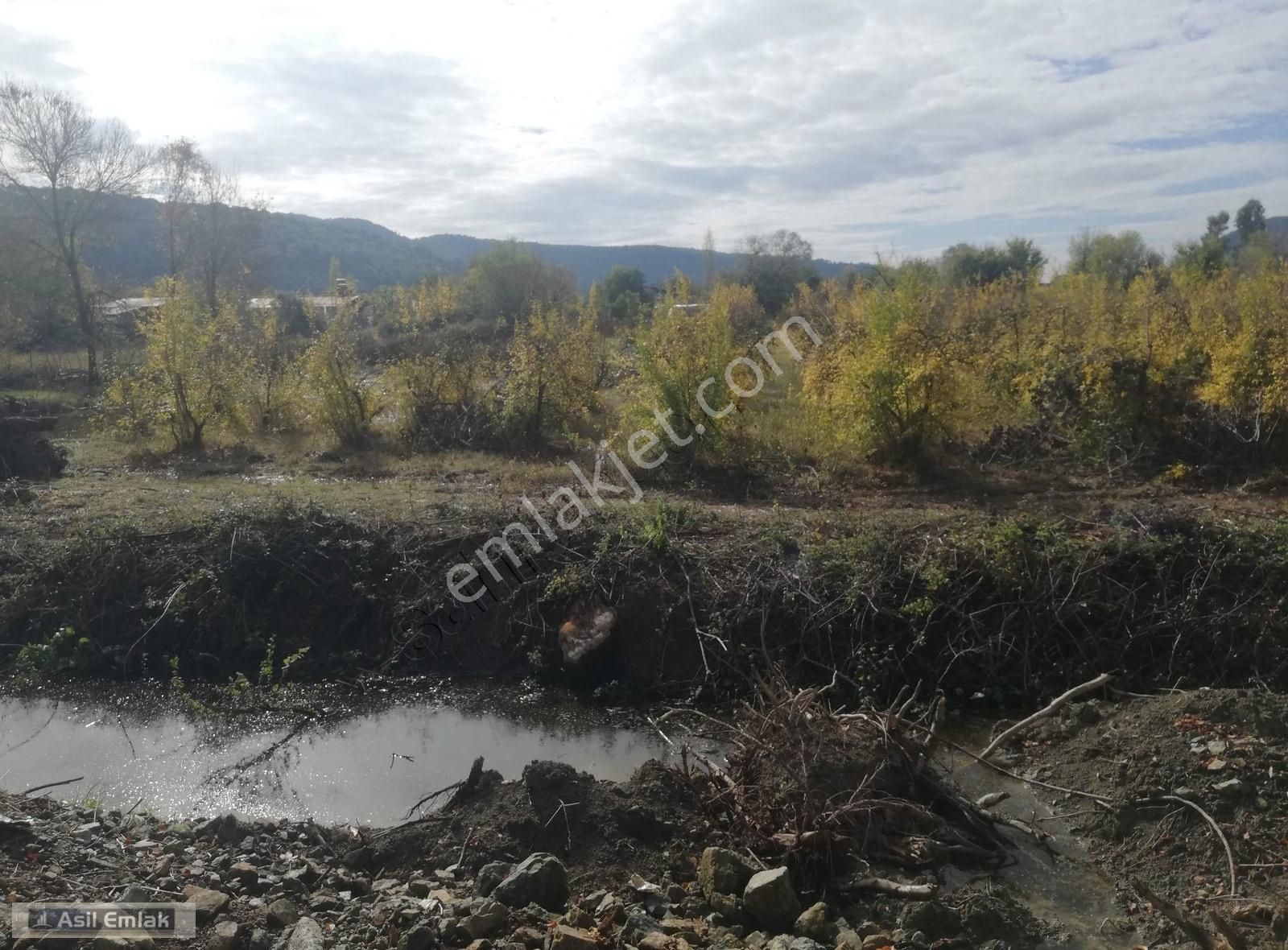 Asil Emlaktan Güzelyurtta Satılık 3 Dönüm Arsa - Görsel 6